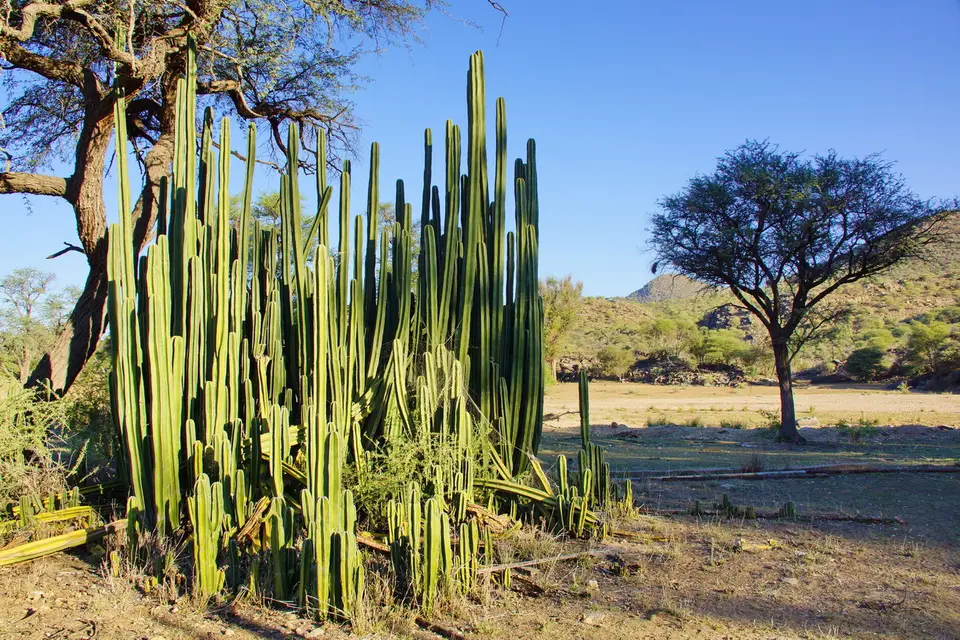 namibia-2019-05-0217-04-14.JPG
