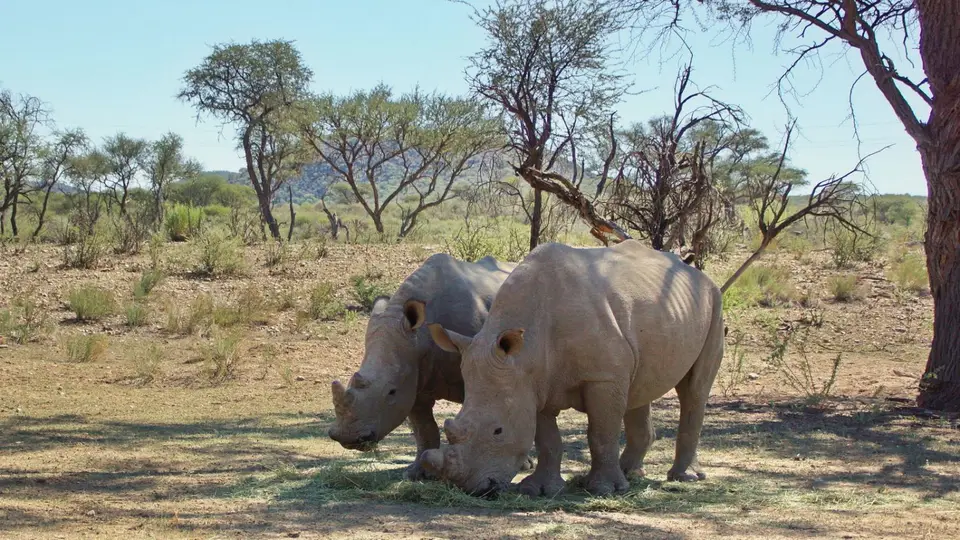 namibia-2019-05-0311-21-21.JPG