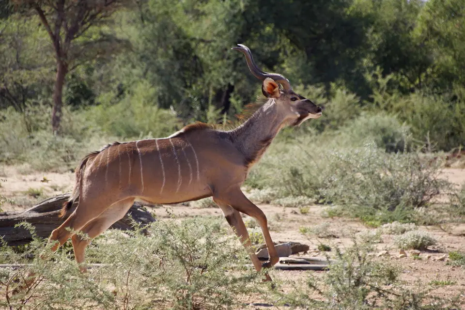 namibia-2019-05-0315-20-45.JPG