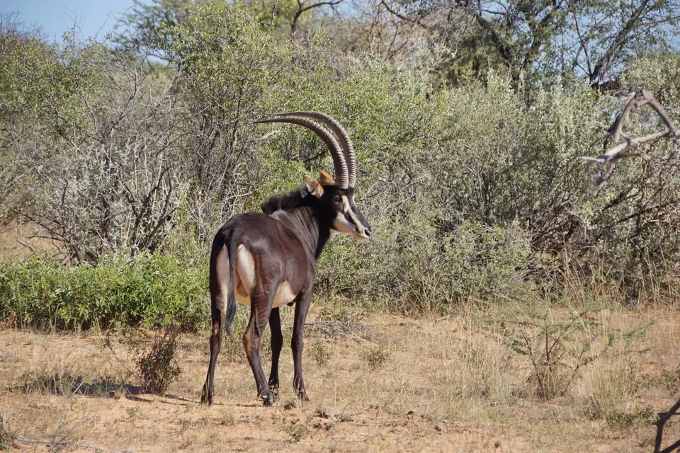namibia-2019-05-0410-08-54.JPG