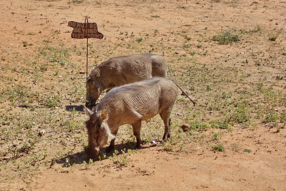 namibia-2019-05-0412-18-19.JPG