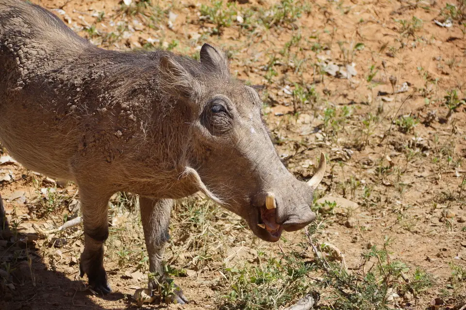 namibia-2019-05-0412-20-28.JPG