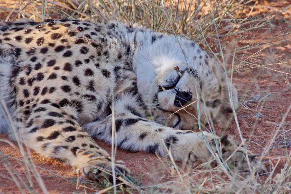 namibia-2019-05-0416-56-34.JPG