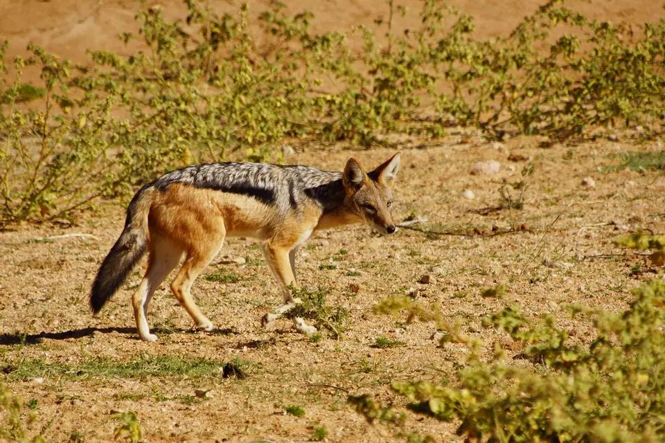 namibia-2019-05-0509-45-17.JPG