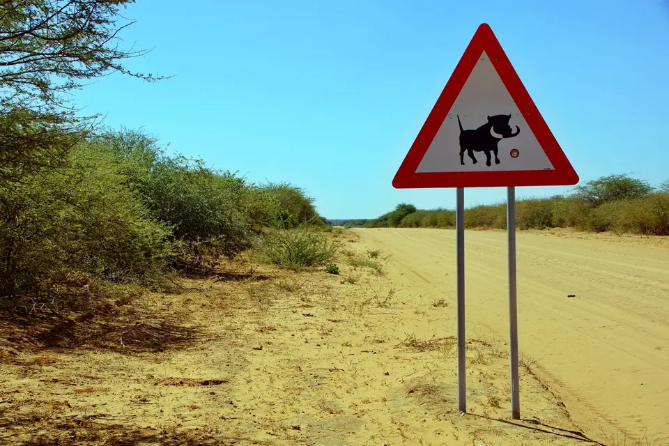 namibia-2019-05-0512-25-20.JPG
