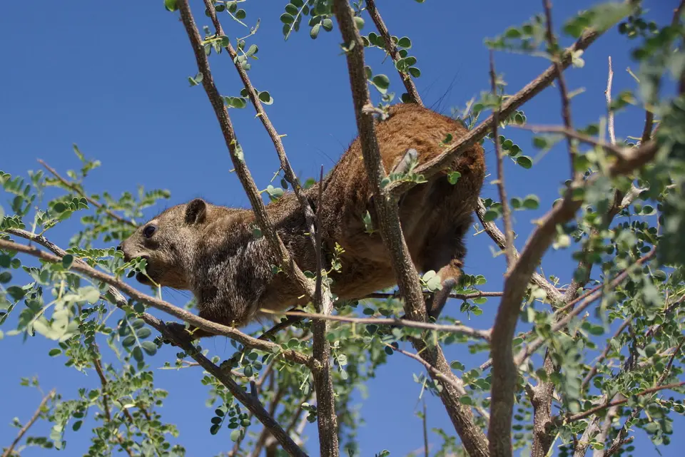 namibia-2019-05-0513-52-09.JPG