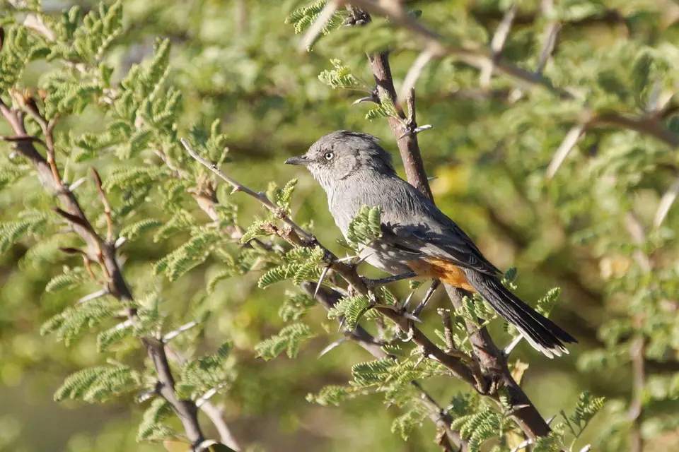 namibia-2019-05-0517-01-16.JPG