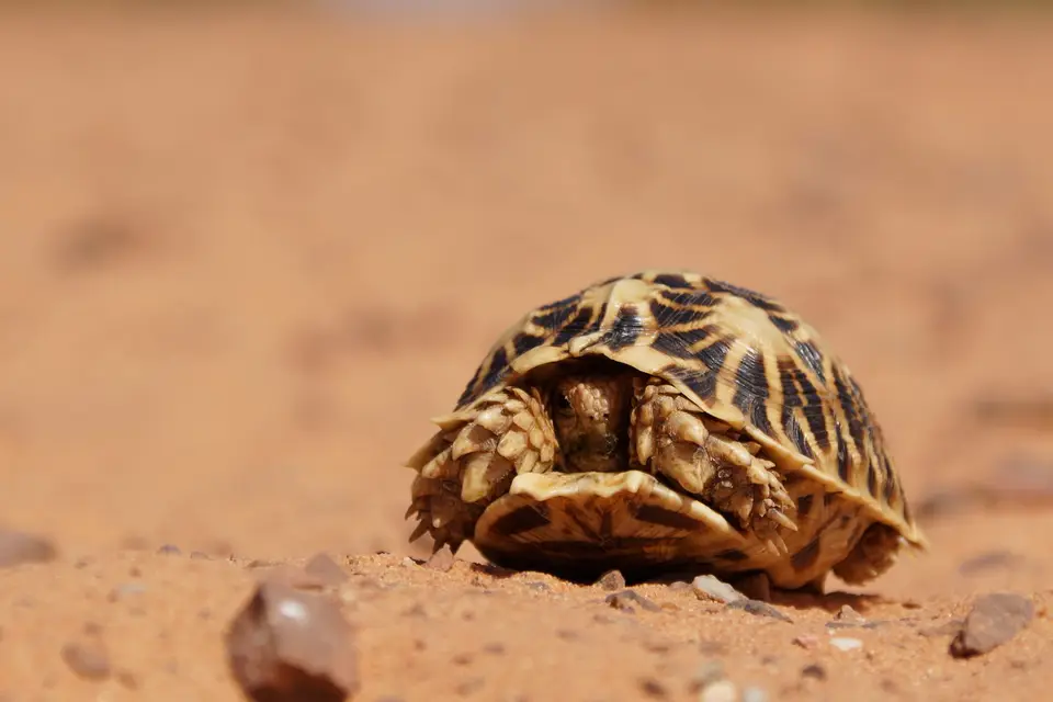 namibia-2019-05-0611-31-15.jpg