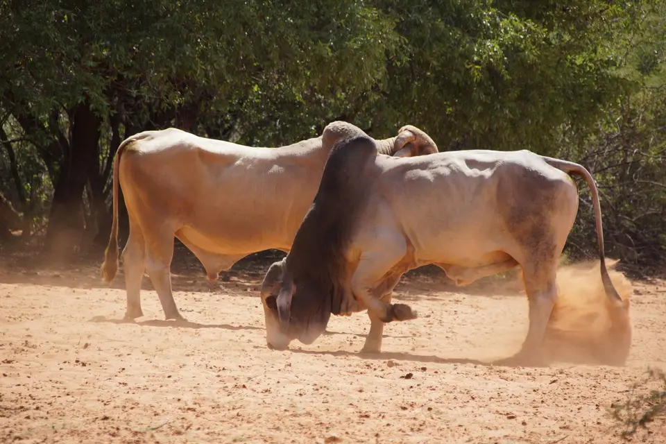 namibia-2019-05-0612-03-10.jpg