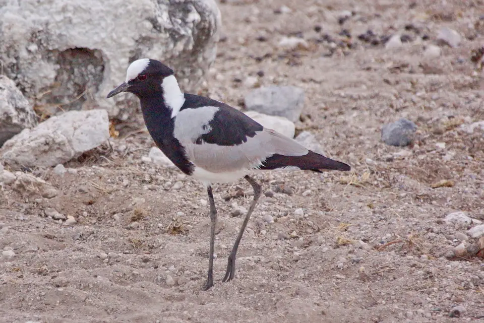 namibia-2019-05-0707-49-29.jpg