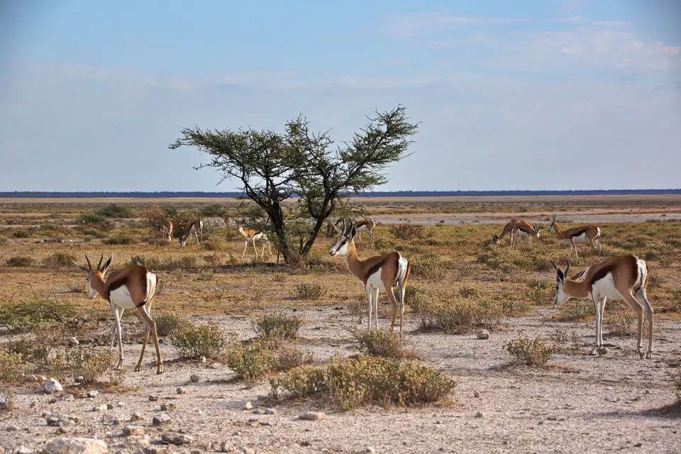 namibia-2019-05-0708-47-46.jpg