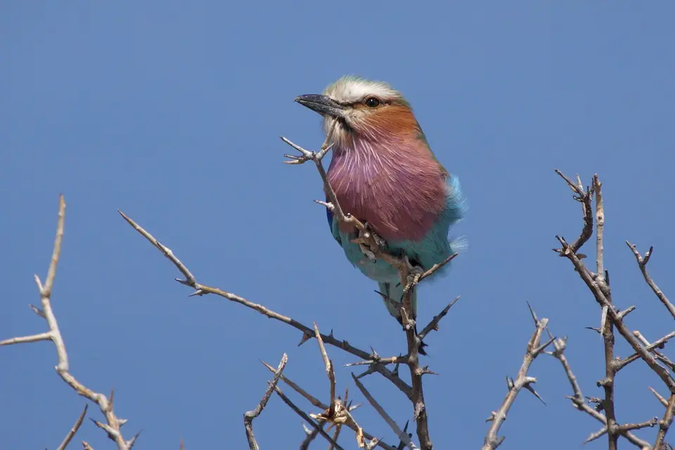 namibia-2019-05-0710-16-12.jpg
