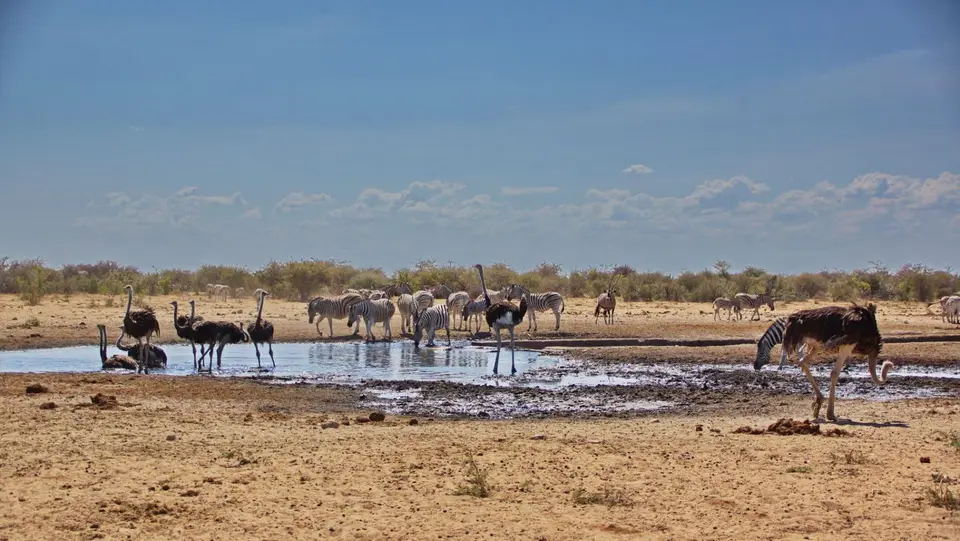 namibia-2019-05-0712-28-58.jpg