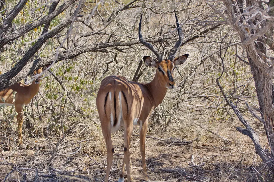 namibia-2019-05-0713-04-48.jpg
