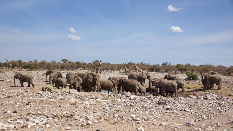 namibia-2019-05-0713-23-45.jpg