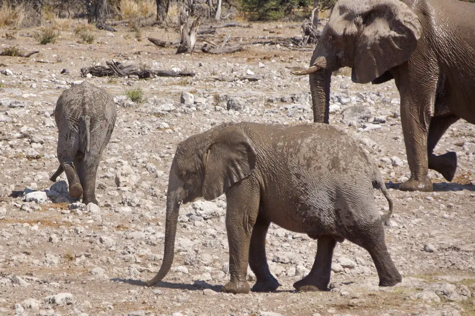 namibia-2019-05-0713-25-54.jpg