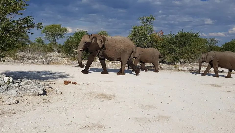 namibia-2019-05-0716-16-50_2.jpg