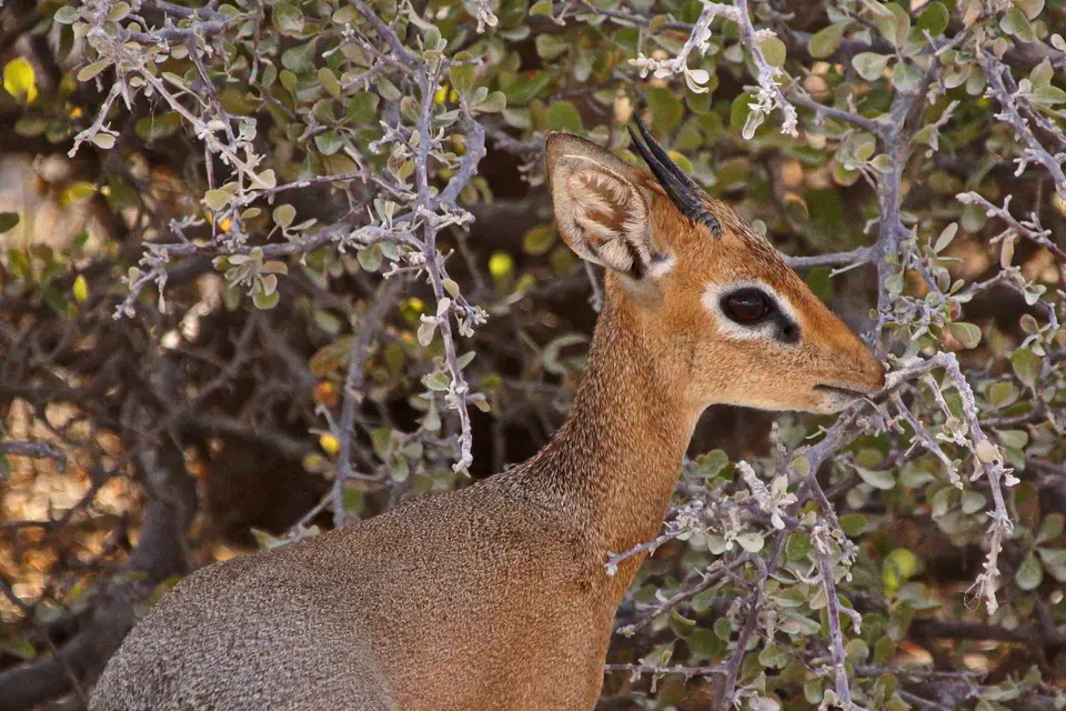 namibia-2019-05-0717-11-52.jpg