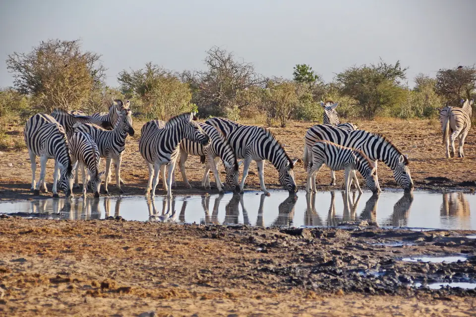 namibia-2019-05-0808-22-28.jpg