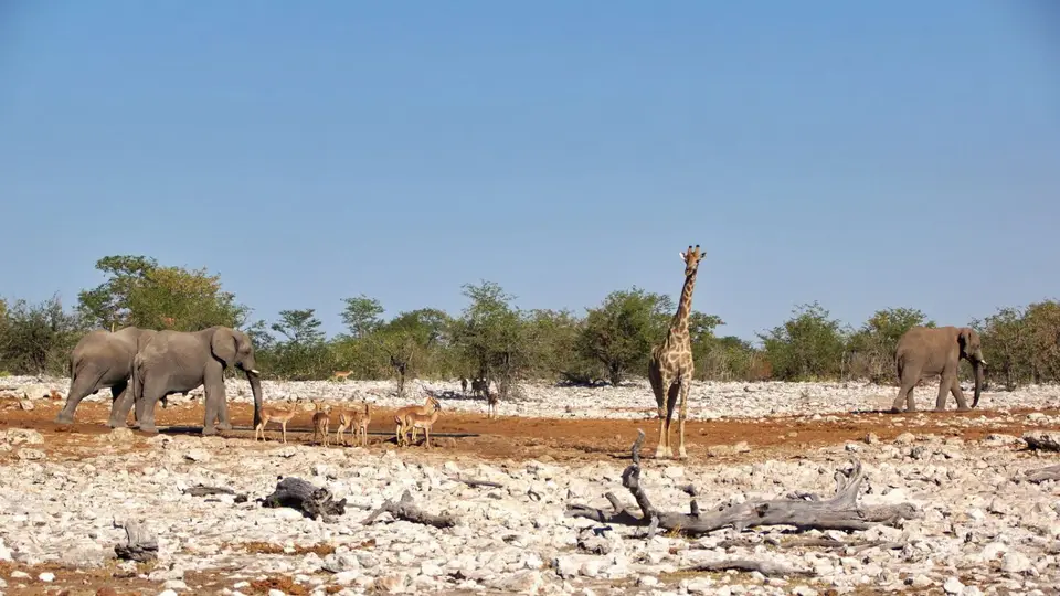 namibia-2019-05-0809-38-58.jpg