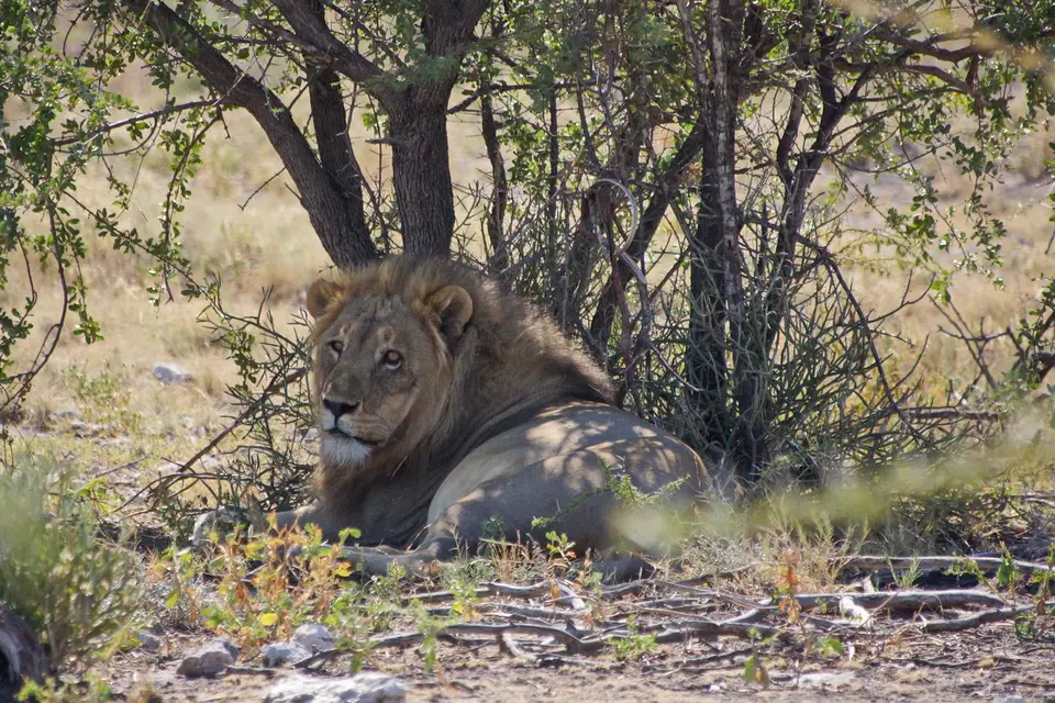 namibia-2019-05-0811-26-08_1.jpg