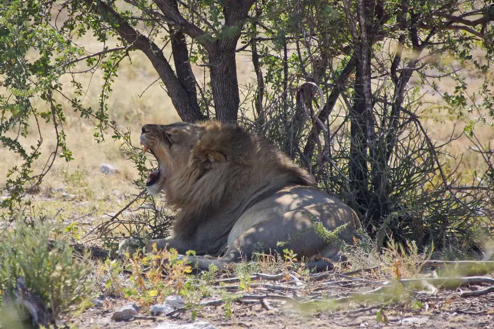 namibia-2019-05-0811-27-37_2.jpg