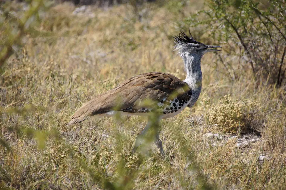 namibia-2019-05-0811-44-59.jpg