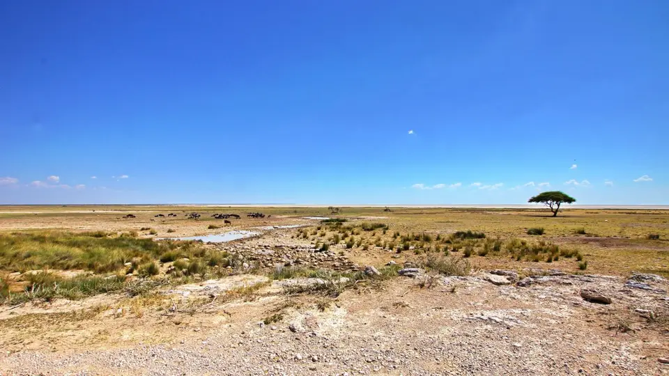 namibia-2019-05-0812-35-02.jpg