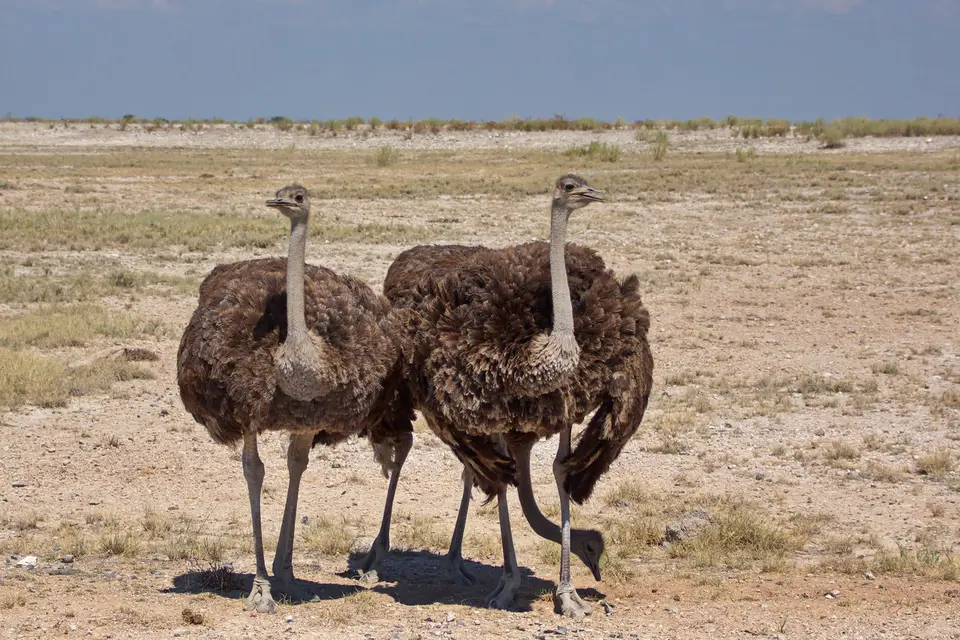 namibia-2019-05-0812-37-47.jpg