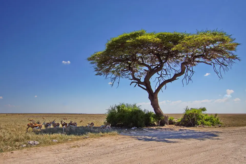 namibia-2019-05-0812-47-12.jpg