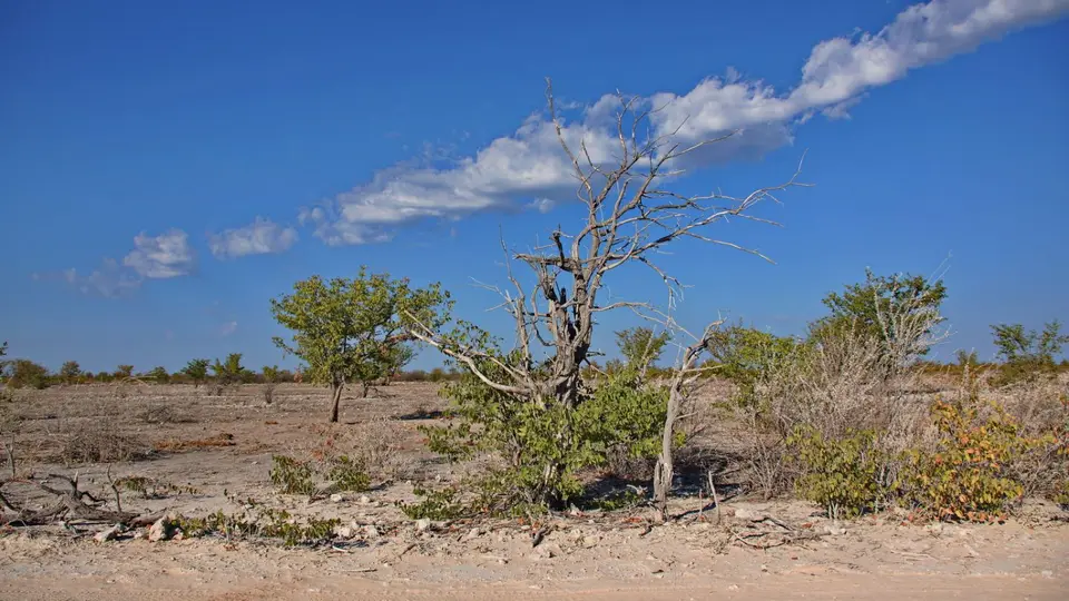 namibia-2019-05-0909-01-18.jpg