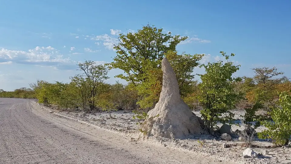 namibia-2019-05-0909-05-44.jpg
