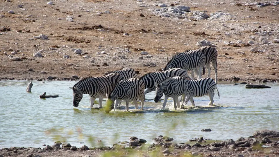 namibia-2019-05-0910-04-32.jpg