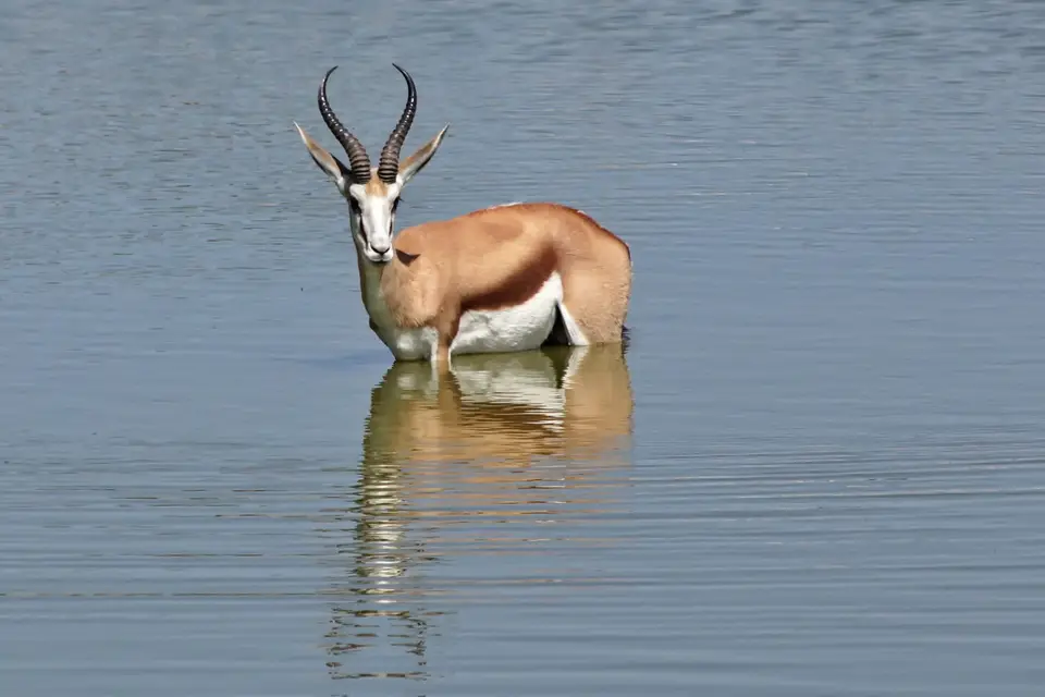 namibia-2019-05-0912-24-06.jpg