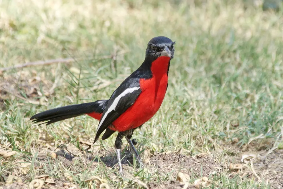namibia-2019-05-0912-51-53.jpg