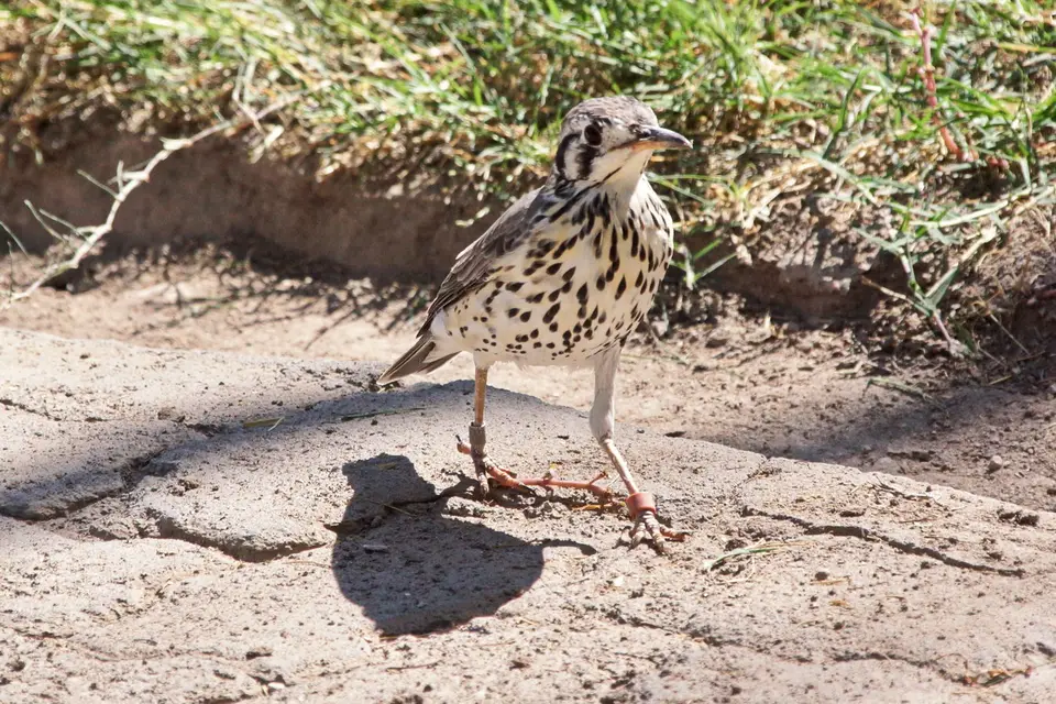 namibia-2019-05-0913-06-51.jpg