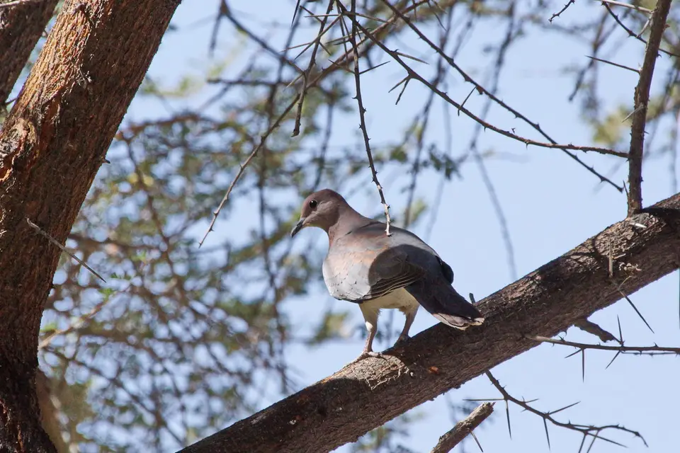 namibia-2019-05-0913-11-43.jpg