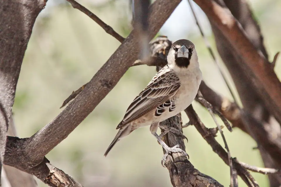 namibia-2019-05-0913-34-27.jpg