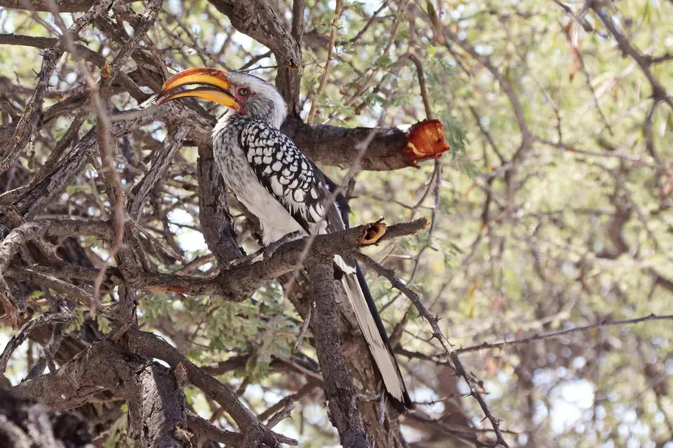 namibia-2019-05-0913-36-20.jpg