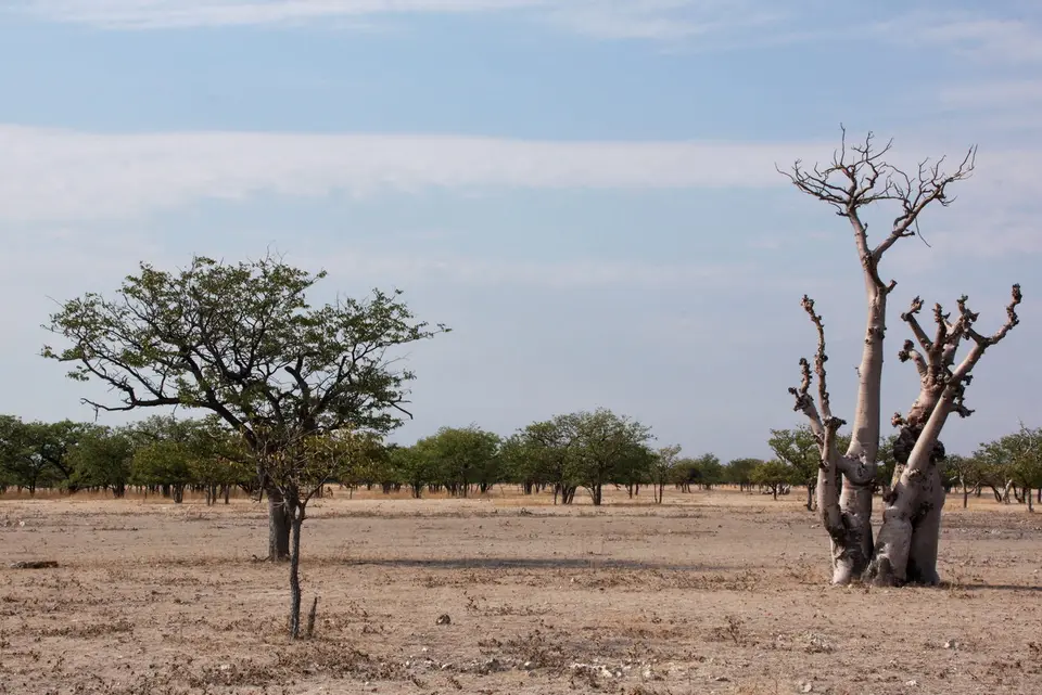 namibia-2019-05-1009-59-44.jpg
