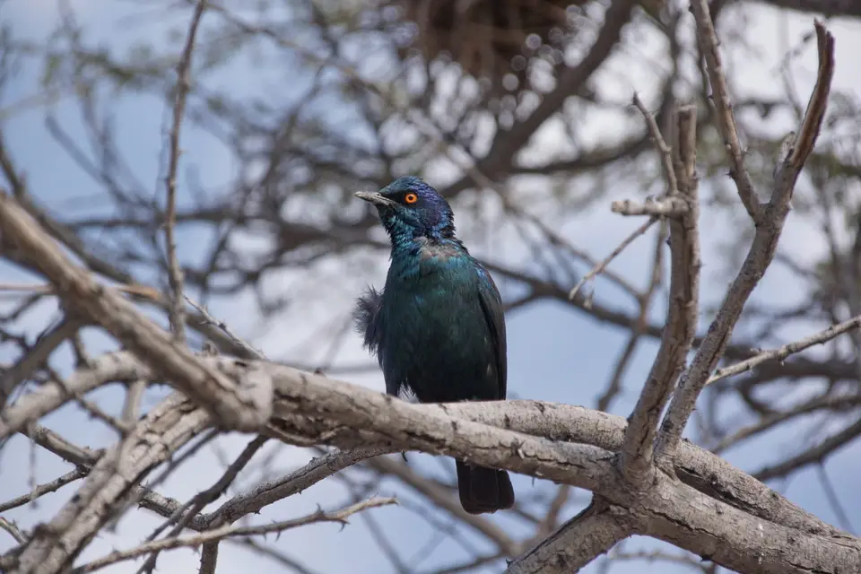 namibia-2019-05-1010-11-06.jpg
