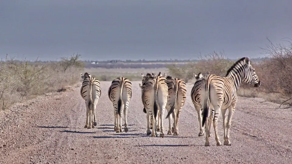 namibia-2019-05-1010-55-51.jpg