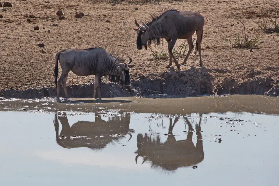 namibia-2019-05-1014-58-14.jpg