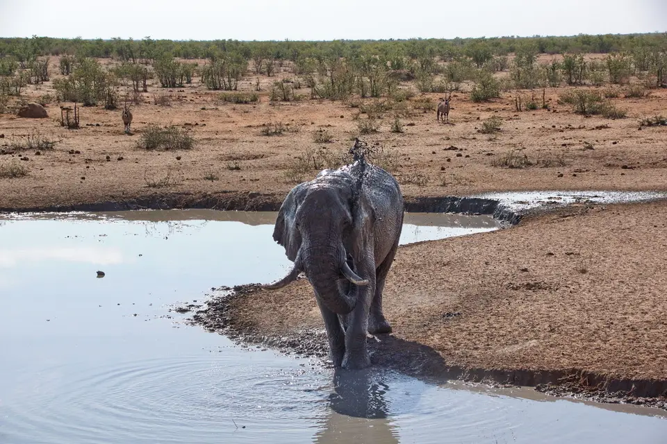 namibia-2019-05-1015-12-55.jpg