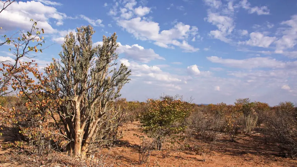 namibia-2019-05-1016-45-34.jpg