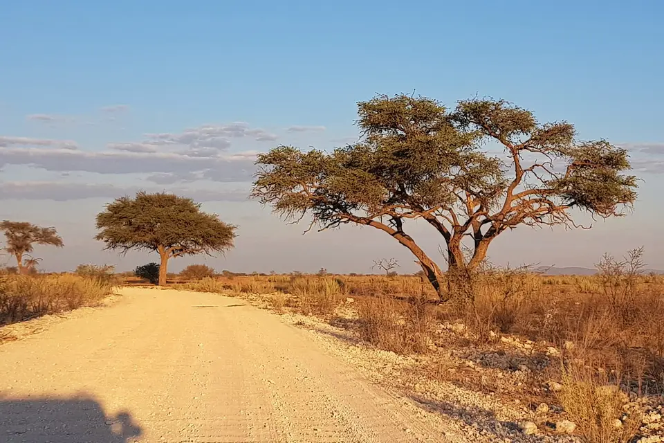 namibia-2019-05-1107-50-04_2.jpg
