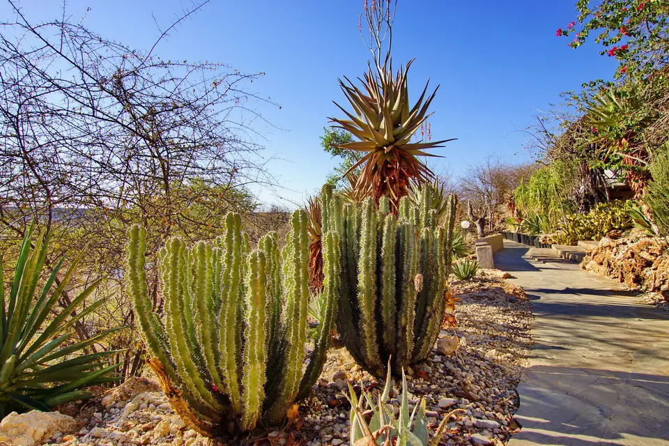 namibia-2019-05-1208-28-49.jpg