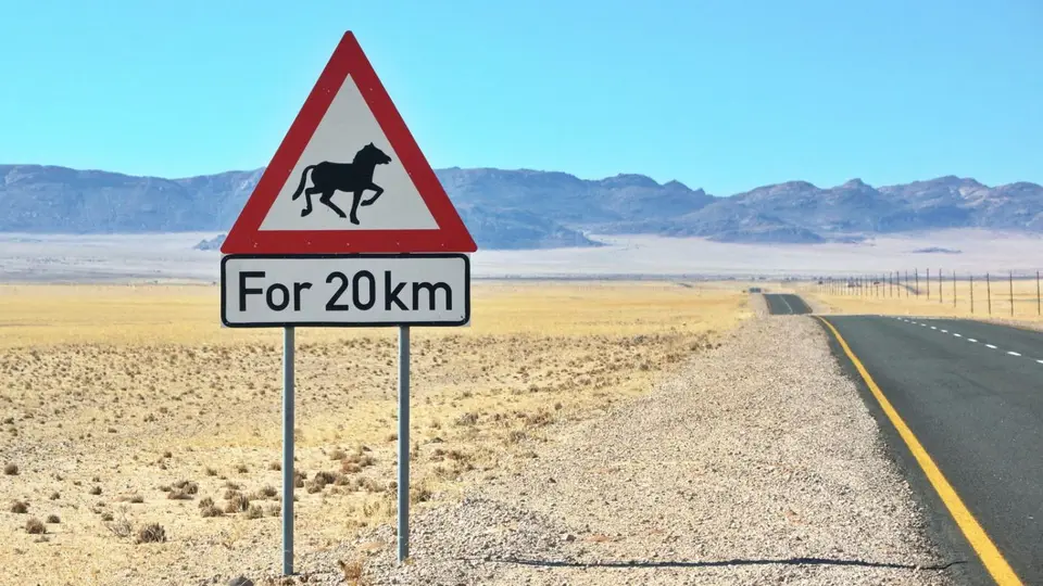 namibia-2019-05-2011-19-59.jpg