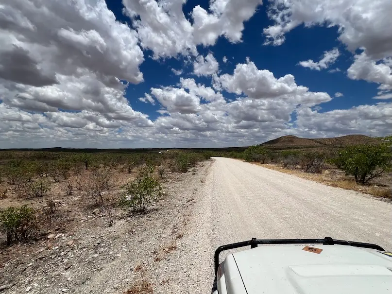 etosha_landscape3.jpeg