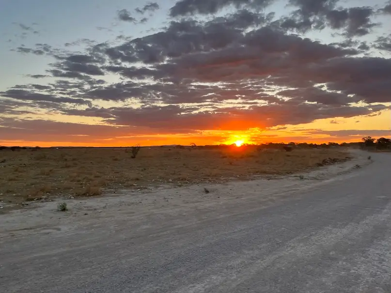 etosha_nightdrive.jpeg